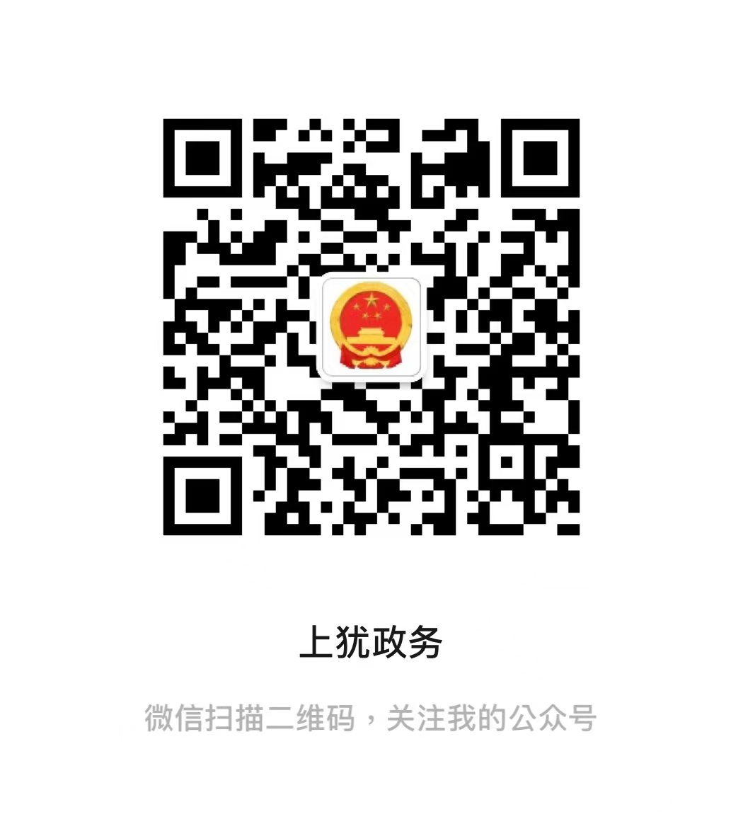 政府辦